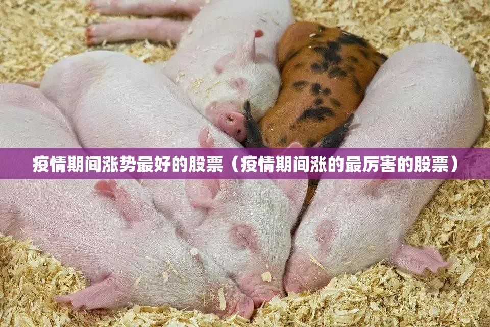 疫情期间涨势最好的股票（疫情期间涨的最厉害的股票）