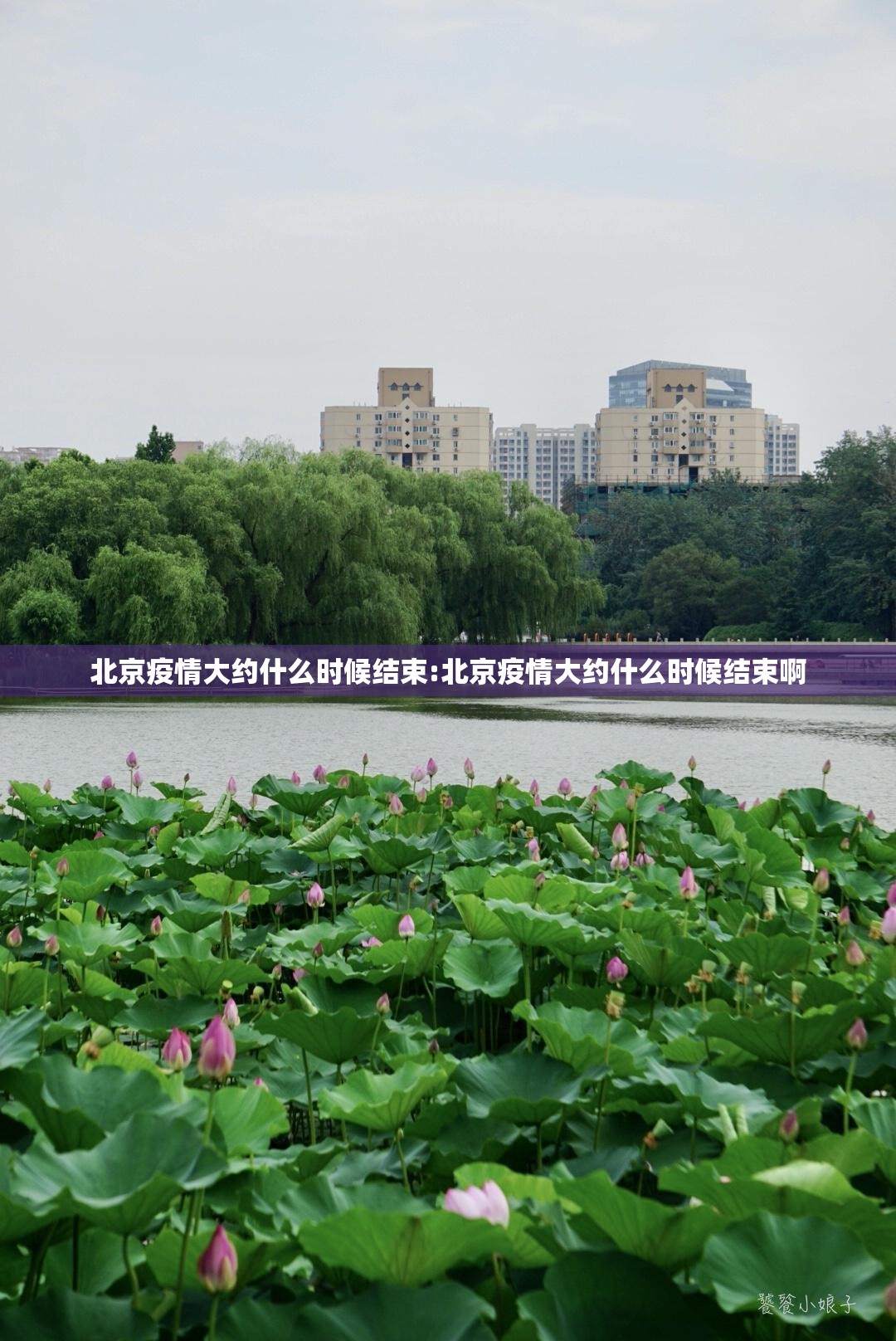 北京疫情大约什么时候结束:北京疫情大约什么时候结束啊