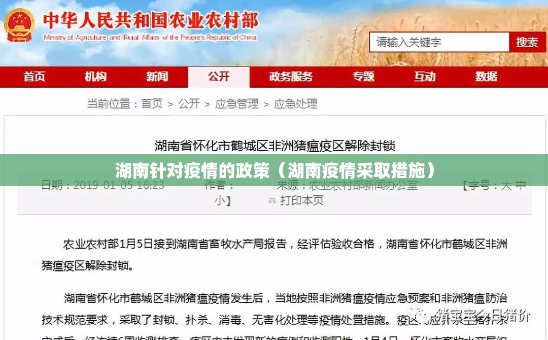湖南针对疫情的政策（湖南疫情采取措施）