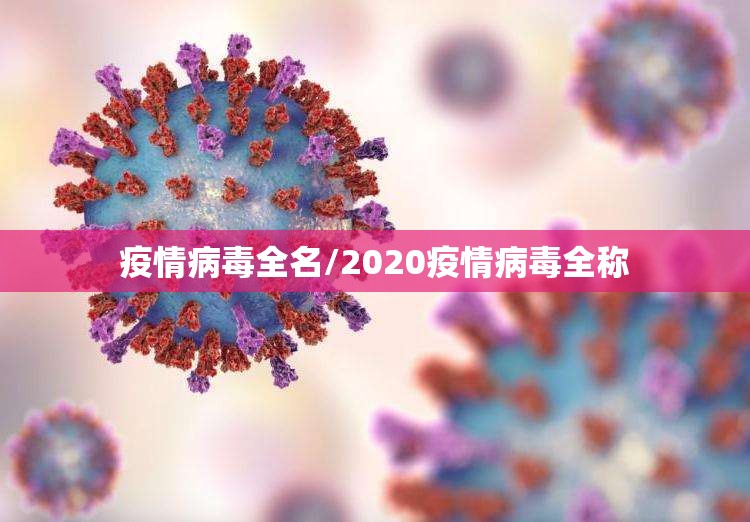 疫情病毒全名/2020疫情病毒全称