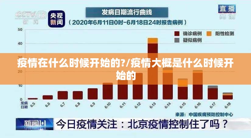 疫情在什么时候开始的?/疫情大概是什么时候开始的