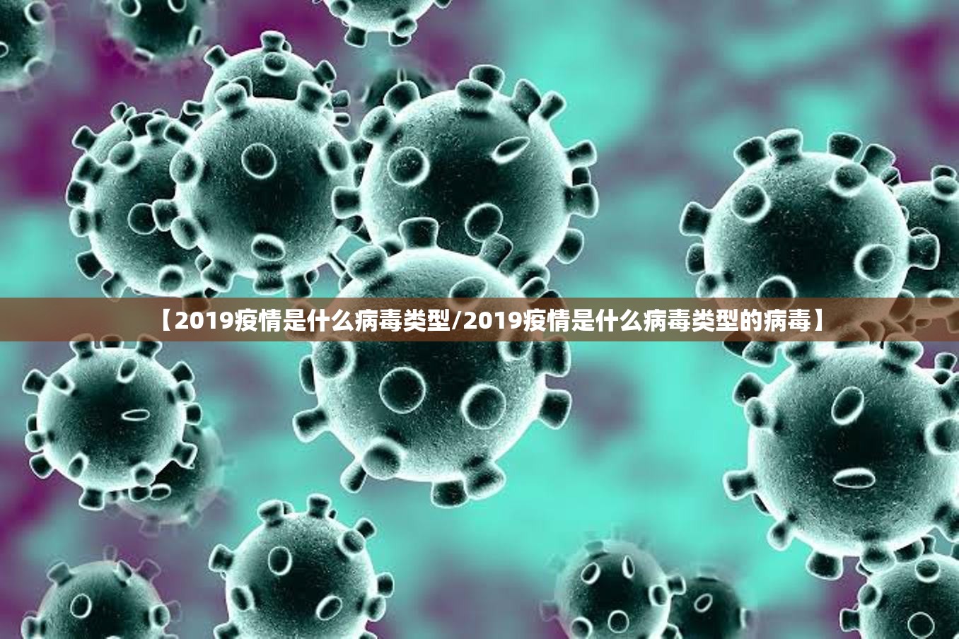 【2019疫情是什么病毒类型/2019疫情是什么病毒类型的病毒】