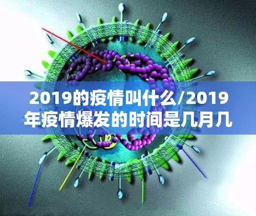 2019的疫情叫什么/2019年疫情爆发的时间是几月几日