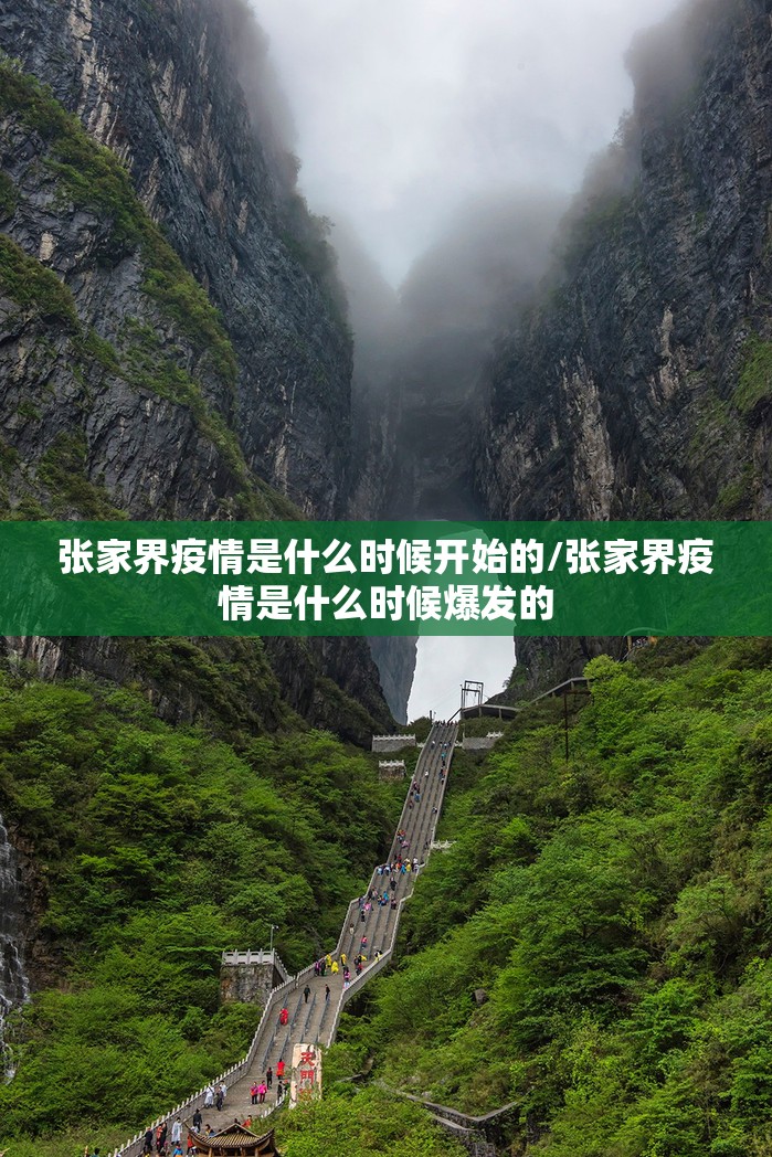 张家界疫情是什么时候开始的/张家界疫情是什么时候爆发的