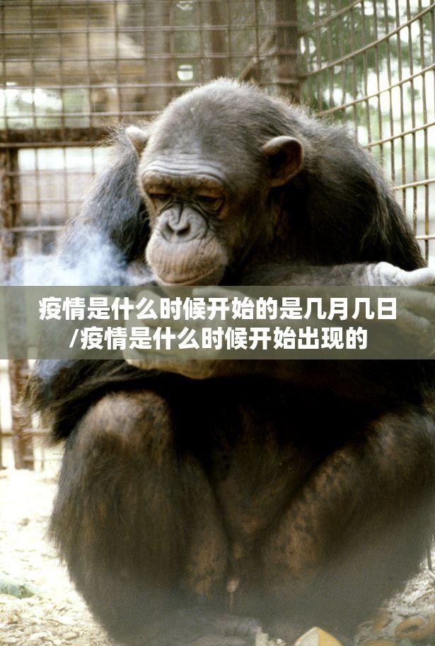 疫情是什么时候开始的是几月几日/疫情是什么时候开始出现的
