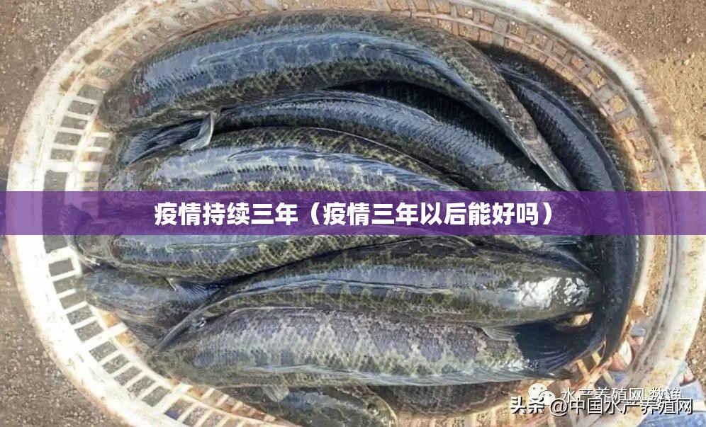 疫情持续三年（疫情三年以后能好吗）