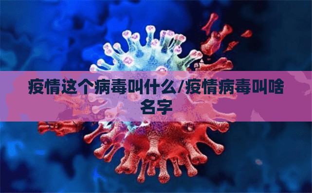 疫情这个病毒叫什么/疫情病毒叫啥名字