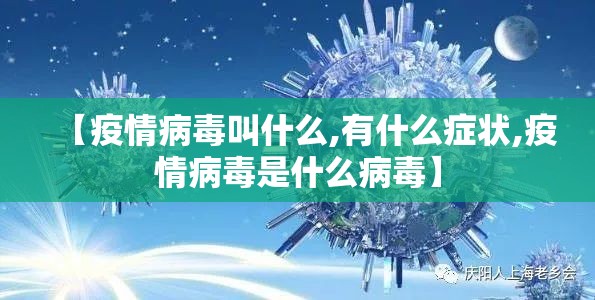 【疫情病毒叫什么,有什么症状,疫情病毒是什么病毒】