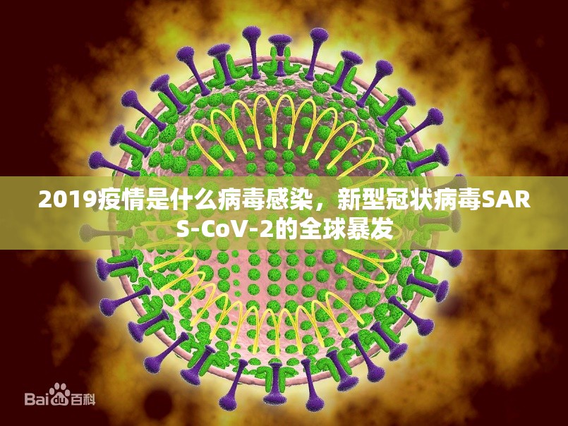 2019疫情是什么病毒感染，新型冠状病毒SARS-CoV-2的全球暴发