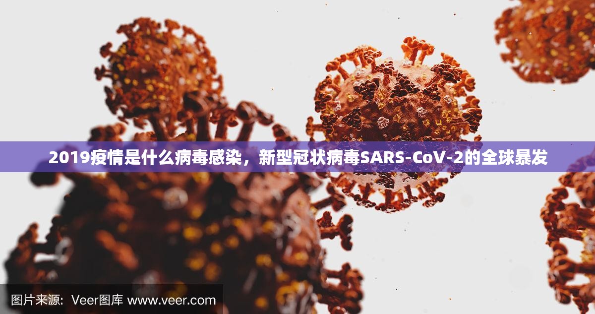 2019疫情是什么病毒感染，新型冠状病毒SARS-CoV-2的全球暴发