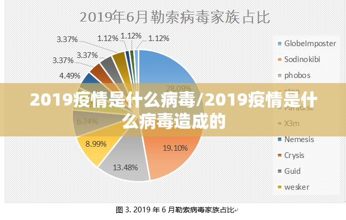 2019疫情是什么病毒/2019疫情是什么病毒造成的