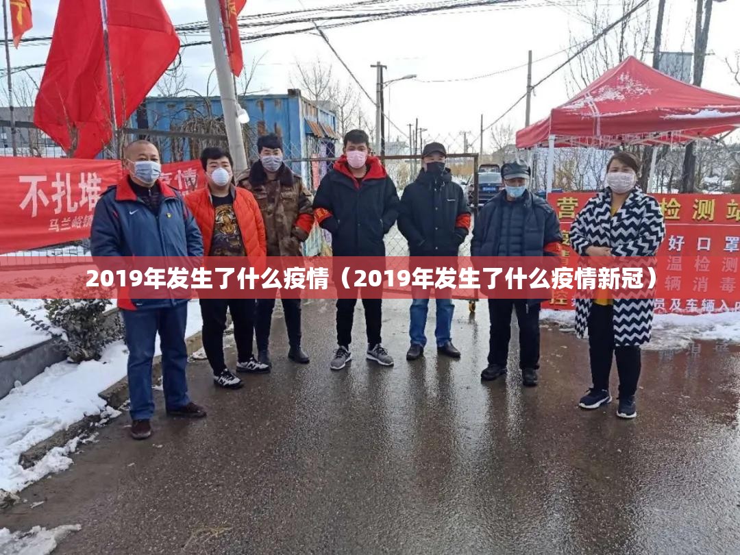 2019年发生了什么疫情（2019年发生了什么疫情新冠）