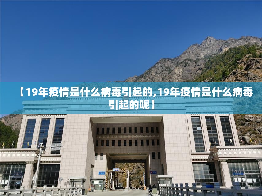 【19年疫情是什么病毒引起的,19年疫情是什么病毒引起的呢】