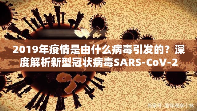 2019年疫情是由什么病毒引发的？深度解析新型冠状病毒SARS-CoV-2