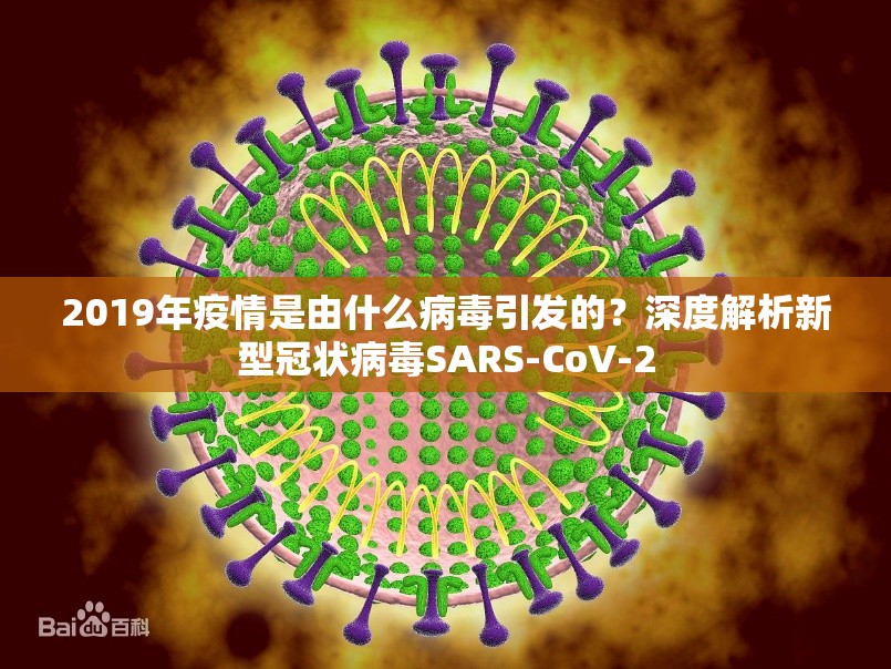 2019年疫情是由什么病毒引发的？深度解析新型冠状病毒SARS-CoV-2