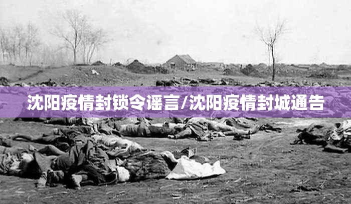 沈阳疫情封锁令谣言/沈阳疫情封城通告