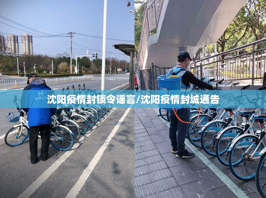 沈阳疫情封锁令谣言/沈阳疫情封城通告