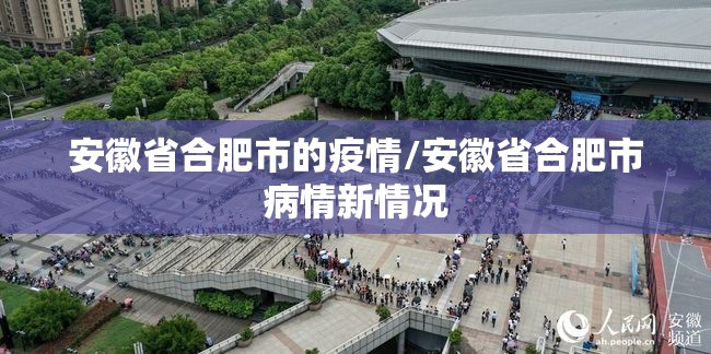 安徽省合肥市的疫情/安徽省合肥市病情新情况