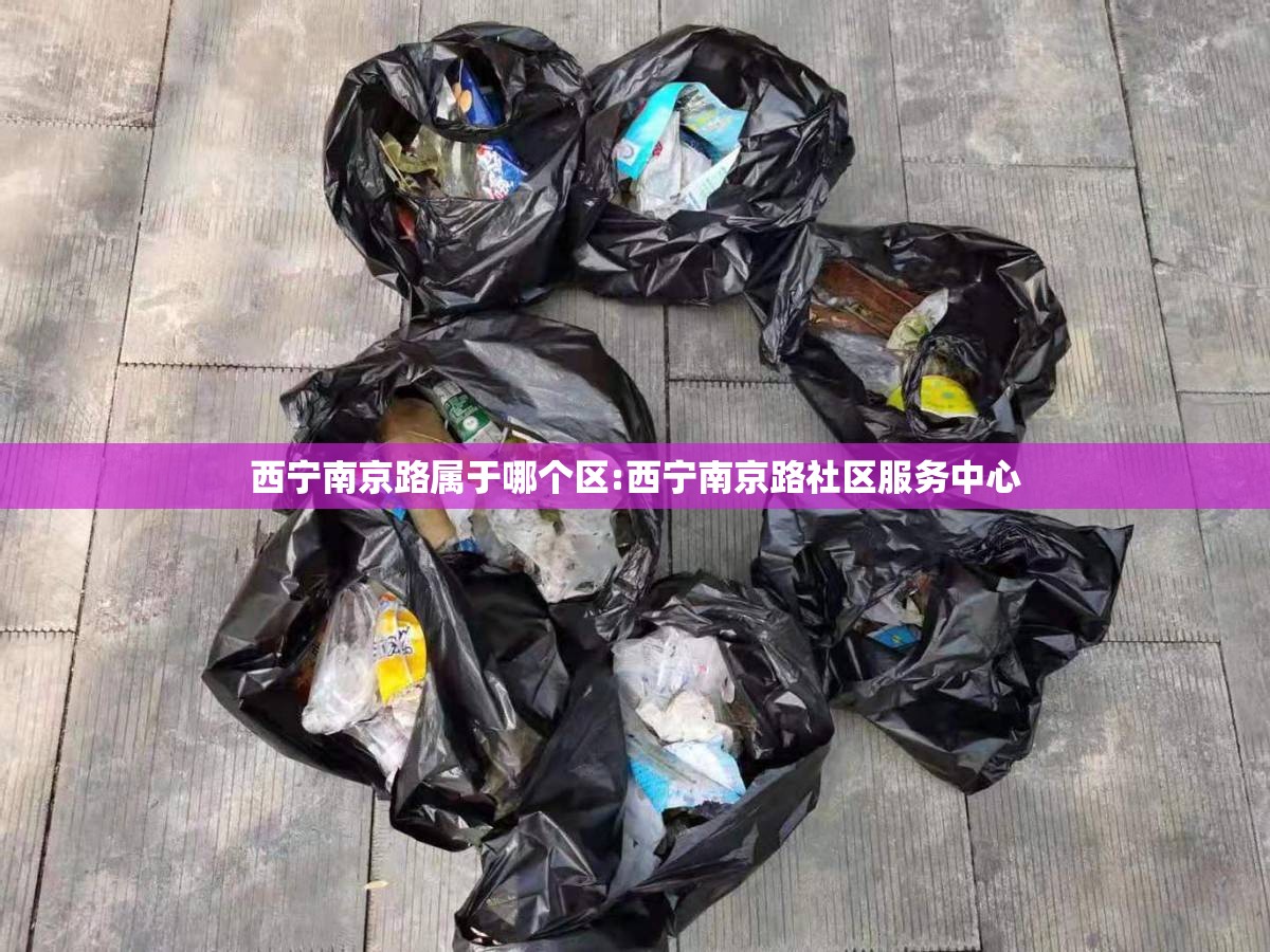 西宁南京路属于哪个区:西宁南京路社区服务中心
