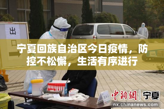 宁夏回族自治区今日疫情，防控不松懈，生活有序进行