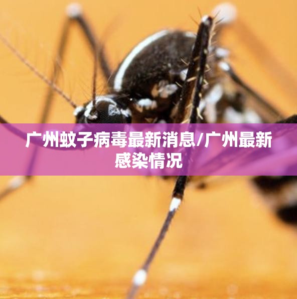 广州蚊子病毒最新消息/广州最新感染情况