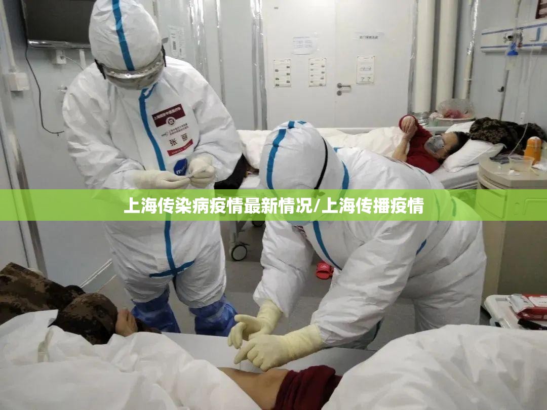 上海传染病疫情最新情况/上海传播疫情