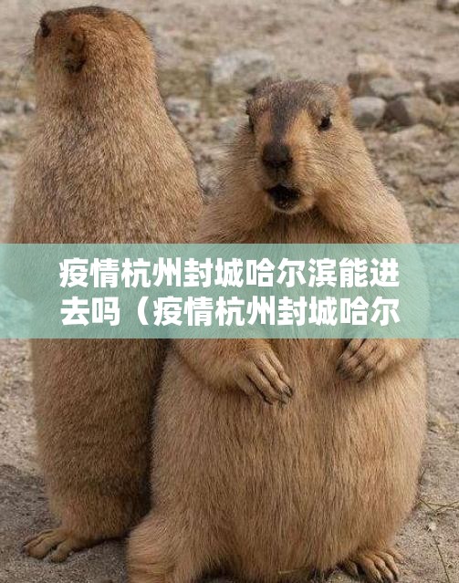 疫情杭州封城哈尔滨能进去吗（疫情杭州封城哈尔滨能进去吗今天）