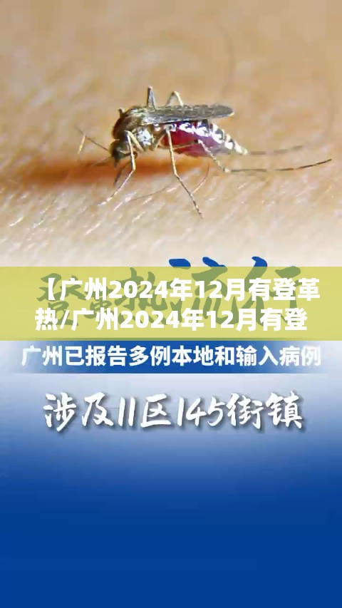 【广州2024年12月有登革热/广州2024年12月有登革热吗】