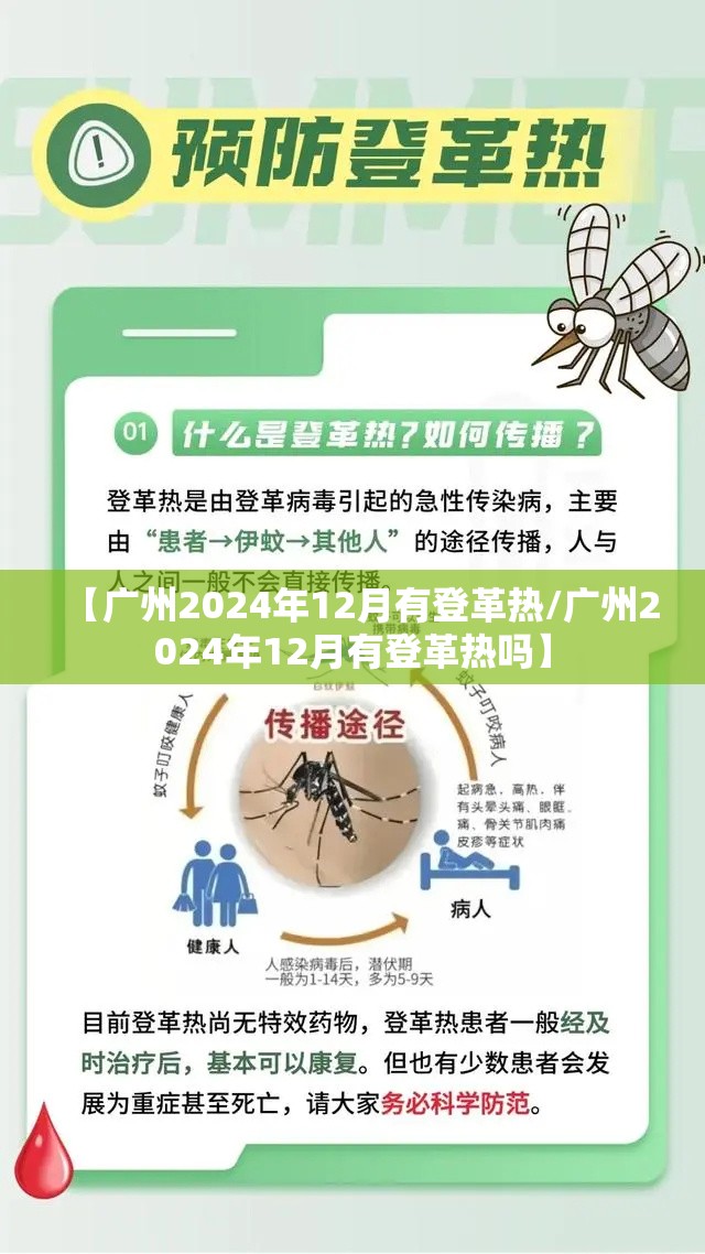 【广州2024年12月有登革热/广州2024年12月有登革热吗】