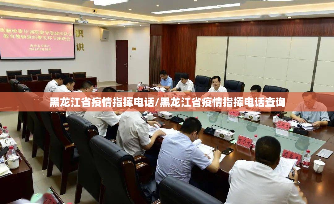 黑龙江省疫情指挥电话/黑龙江省疫情指挥电话查询