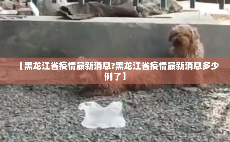 【黑龙江省疫情最新消息?黑龙江省疫情最新消息多少例了】