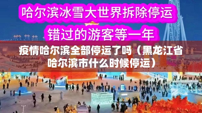疫情哈尔滨全部停运了吗（黑龙江省哈尔滨市什么时候停运）