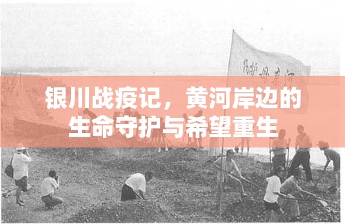 银川战疫记，黄河岸边的生命守护与希望重生