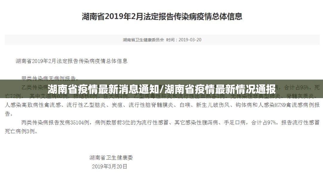 湖南省疫情最新消息通知/湖南省疫情最新情况通报