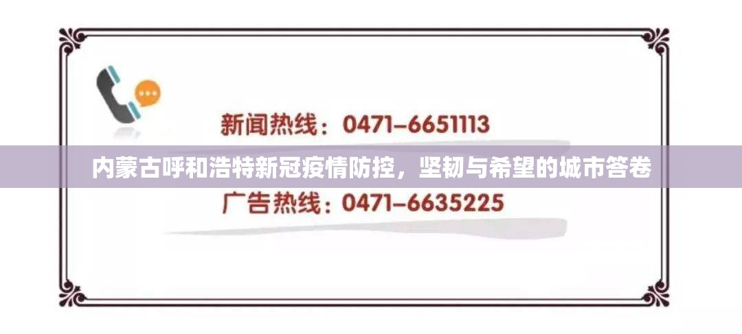 内蒙古呼和浩特新冠疫情防控，坚韧与希望的城市答卷