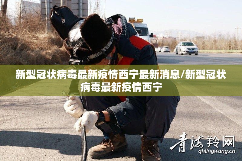 新型冠状病毒最新疫情西宁最新消息/新型冠状病毒最新疫情西宁