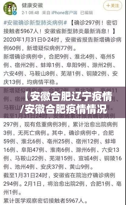 【安徽合肥辽宁疫情/安徽合肥疫情情况】