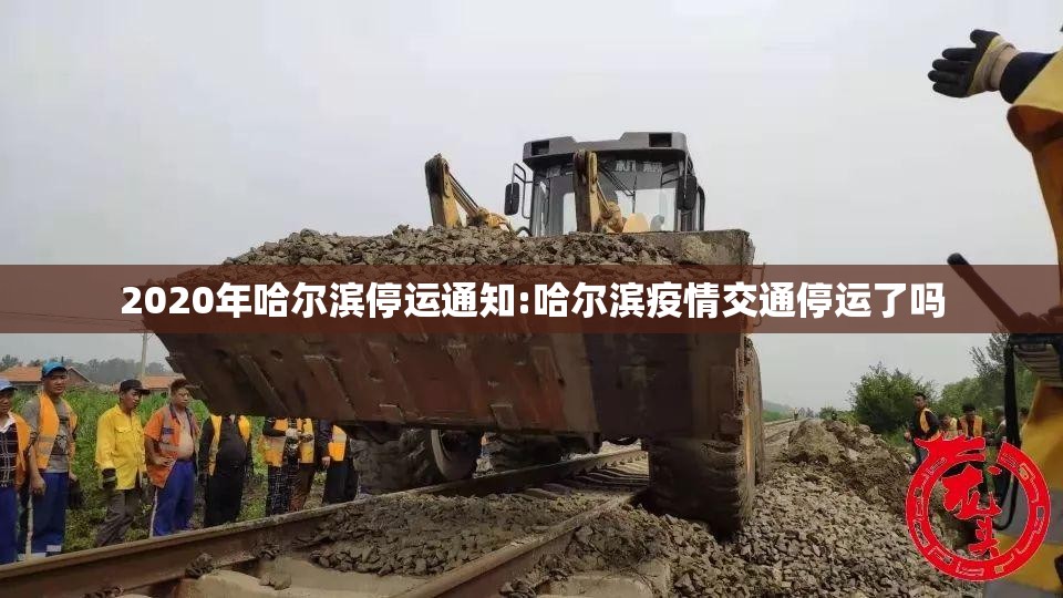 2020年哈尔滨停运通知:哈尔滨疫情交通停运了吗