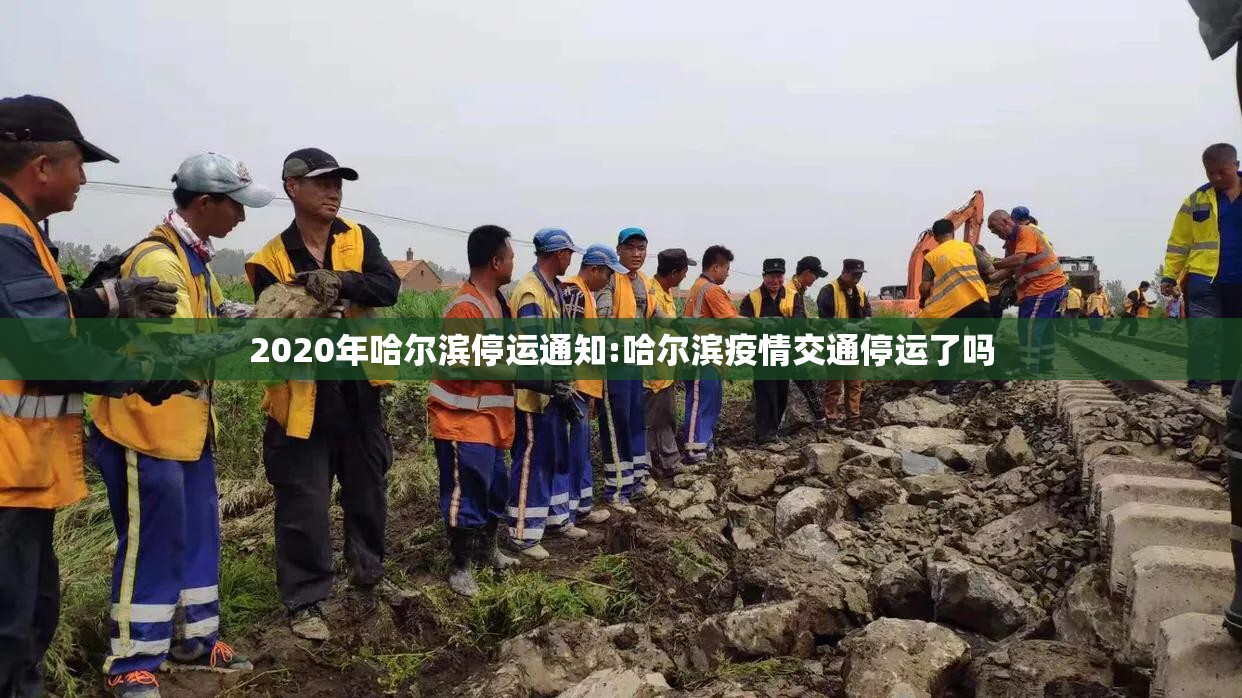 2020年哈尔滨停运通知:哈尔滨疫情交通停运了吗