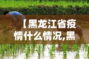 【黑龙江省疫情什么情况,黑龙江省疫情什么情况封城】