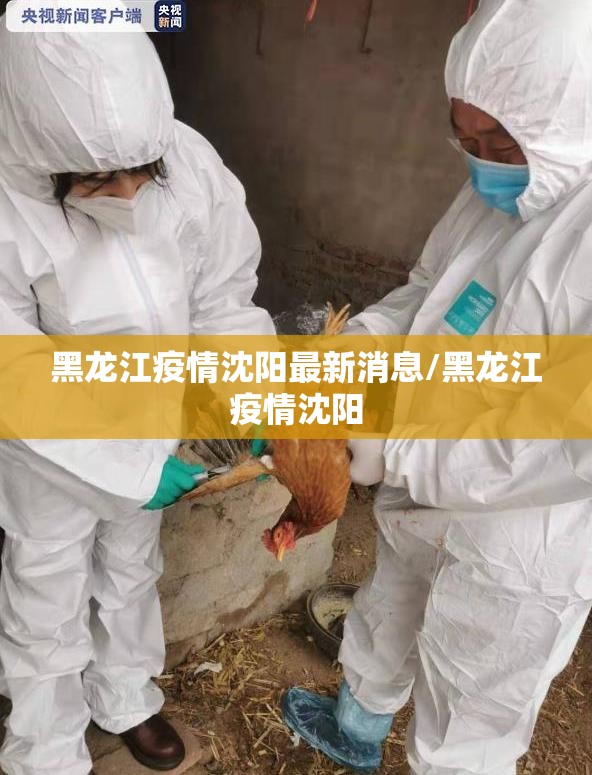 黑龙江疫情沈阳最新消息/黑龙江疫情沈阳