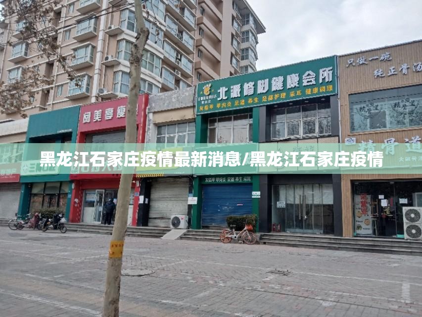 黑龙江石家庄疫情最新消息/黑龙江石家庄疫情