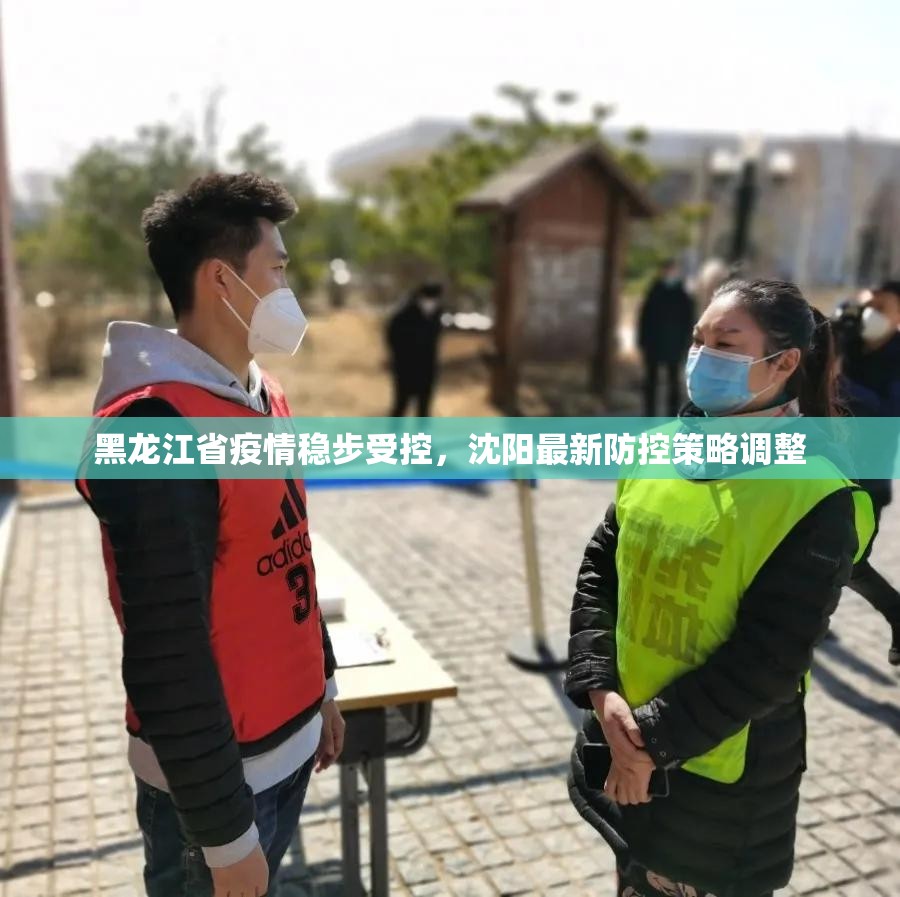 黑龙江省疫情稳步受控，沈阳最新防控策略调整