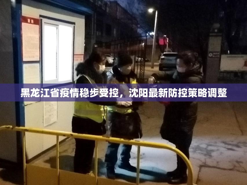 黑龙江省疫情稳步受控，沈阳最新防控策略调整