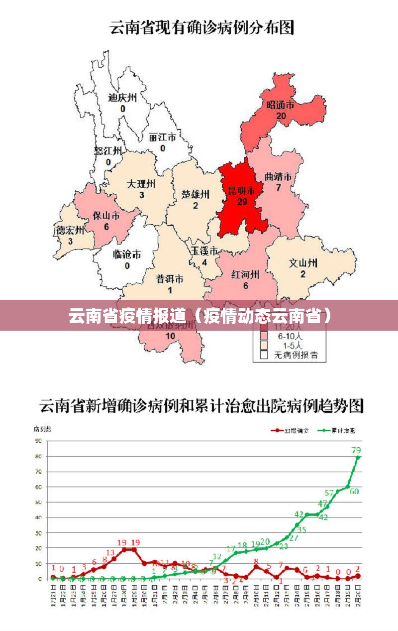 云南省疫情报道（疫情动态云南省）
