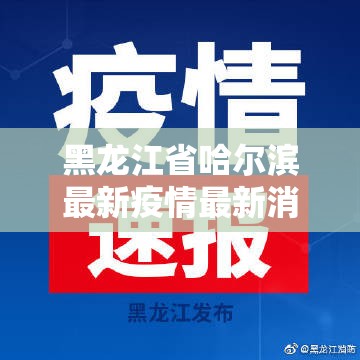 黑龙江省哈尔滨最新疫情最新消息（黑龙江省哈尔滨疫情最新消息今天）