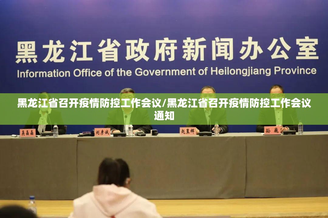 黑龙江省召开疫情防控工作会议/黑龙江省召开疫情防控工作会议通知
