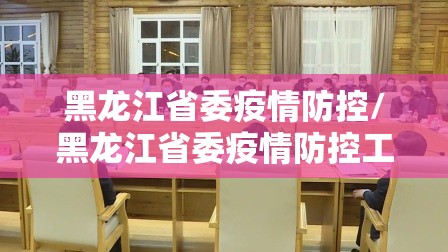 黑龙江省委疫情防控/黑龙江省委疫情防控工作会议