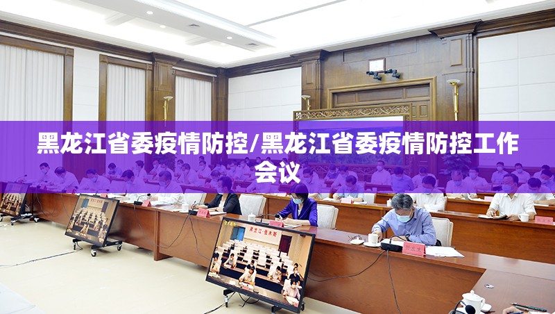 黑龙江省委疫情防控/黑龙江省委疫情防控工作会议