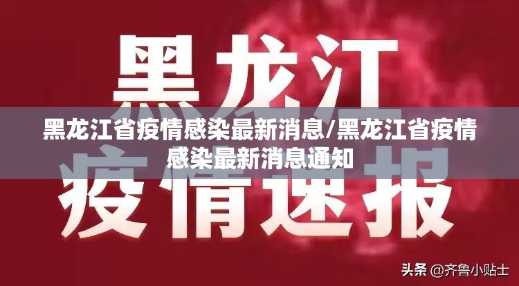 黑龙江省疫情感染最新消息/黑龙江省疫情感染最新消息通知